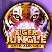 Tổng quan khuyến mãi và dịch vụ khách hàng 58win bet