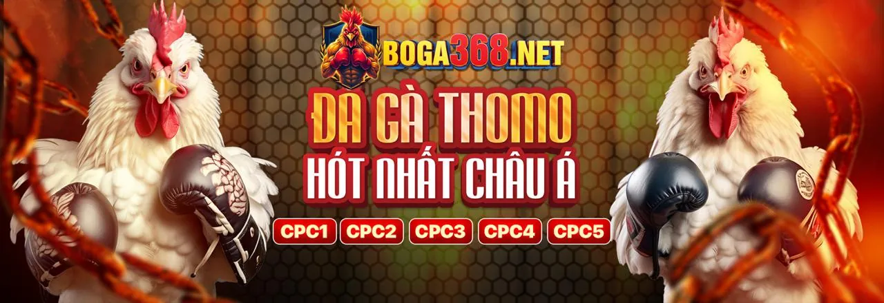Đá gà trực tuyến 58win bet, trận đấu gà chọi kịch tính
