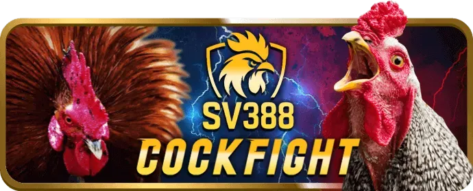 Ưu điểm nền tảng 58win bet